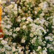 Header image for: Traditional Easter Prayers and Their Meanings