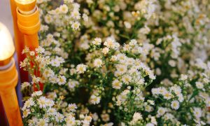 Header image for: Traditional Easter Prayers and Their Meanings