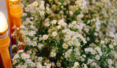 Header image for: Traditional Easter Prayers and Their Meanings