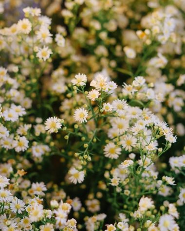 Header image for: Traditional Easter Prayers and Their Meanings