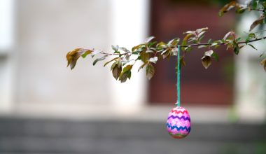 Header image for: Germany's Easter Egg Trees: A Symbol of Renewal
