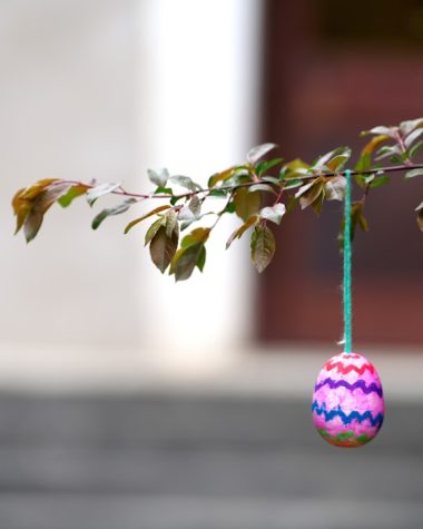 Header image for: Germany's Easter Egg Trees: A Symbol of Renewal