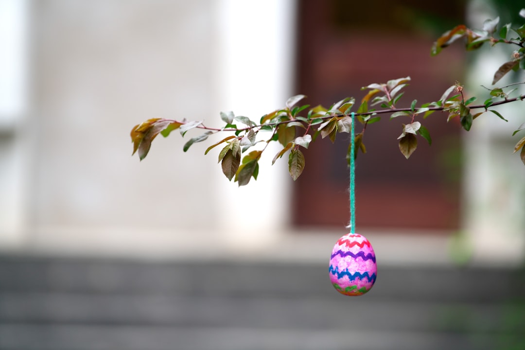 Header image for: Germany's Easter Egg Trees: A Symbol of Renewal
