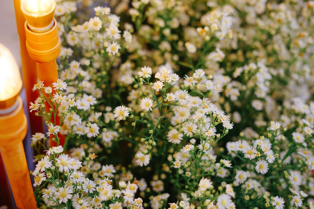 Header image for: Traditional Easter Prayers and Their Meanings