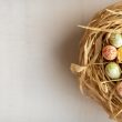 Header image for: Sustainable Easter Decorations: How to Create Mindfully